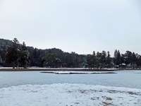 Medium_庭園 (4)